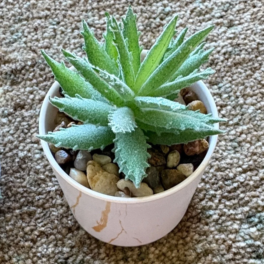 Elegant Green Faux Succulent Planters
